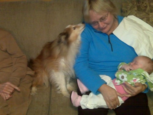 bhhcmc's profile picture. coach pastoral counselor consultant