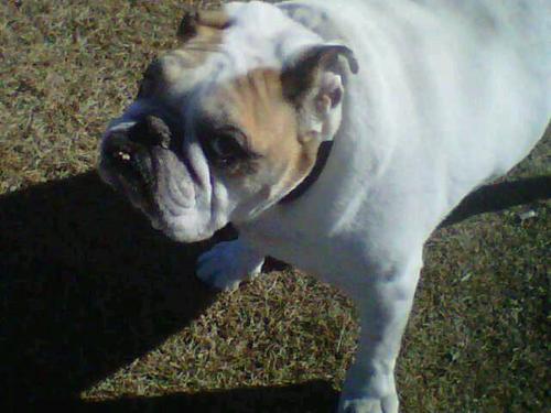 jonnymoser's profile picture. Regina born, Kamloops raised, Vancouver schooled, Ottawa bred and Alberta refined