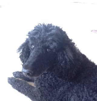 TriciaWhight's profile picture. 