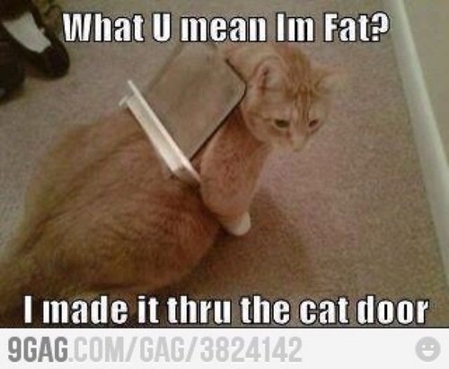 Ovalorte's profile picture. 