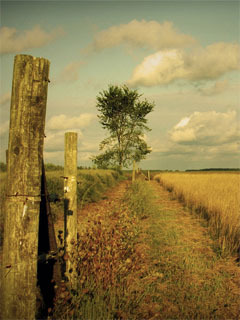 as