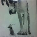 Timothy Coombs - @pepperthekid99 - Twitter