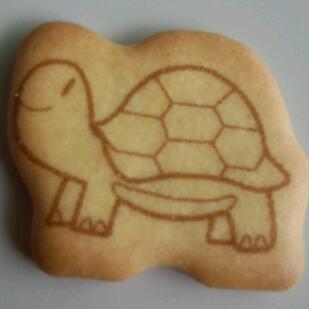 e_amyys's profile picture. 