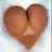 canalse's profile image