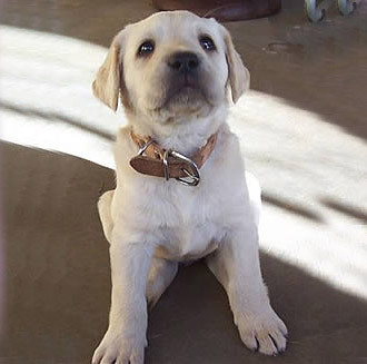 mary_s_white's profile picture. I spend my time on twitter when I need a break from work. Send me something funny, interesting or just plain crazy and you'll be my best friend.