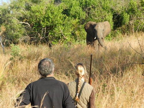 krugerparktrail's profile picture. 