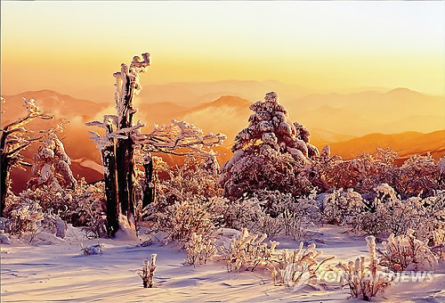 gombaw66's profile picture. 철도민영화를 반대한 죄로 해고된 11년차 철도해고 노동자,   자랑스런 역사의 주인인 노동자의 눈으로 세상을 보라!!!