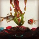 Lucy McHale - @lucy_mchale - Twitter