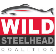 An organization dedicated to increasing the return of wild steelhead to the waters of the West Coast.