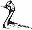 Carsington Bird Club - tweets for sightings reported and for events and news from the Bird Club.