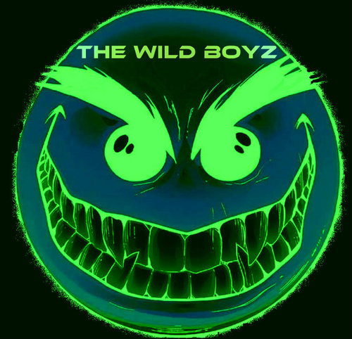 Wild_Boyz_'s profile picture. The official page of the Wild Boyz. Follow us  @Mr_Cassanova_ @Rar3_bReedRel @Call_MeSteveO @Captain_Badfish @JustinSmithUTC  ...Part of @207ENT