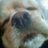 yoshicha125's profile image