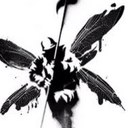 Aiden McDowell - @Macca2552 - Twitter