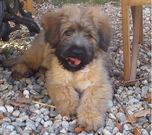 pedrobrora's profile picture. ... it’s actually possible for you to say 
“I don’t know enough about this to have an opinion”  
R Feynman