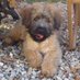 pedro brañas (@pedrobrora) Twitter profile photo pedro brañas (@pedrobrora) Twitter profile photo