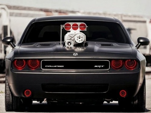 jointedtimes's profile picture. ワイルドだぜぇ