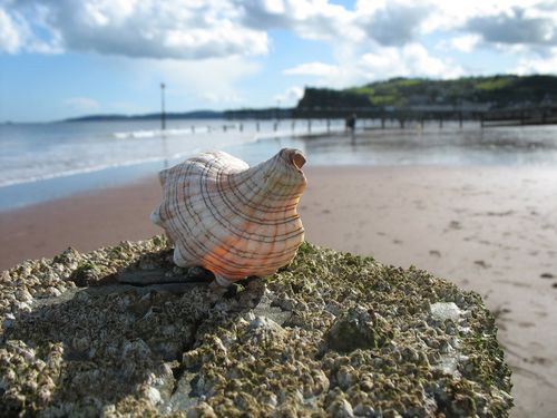 Seashell Communications: PR & marketing consultancy run by @mandypearse We advise, train & support. Tweets: social, PR, leadership & training