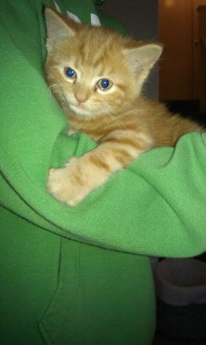 msb1904's profile picture. 