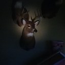 Mitchell Williamson - @fastenal10 - Twitter