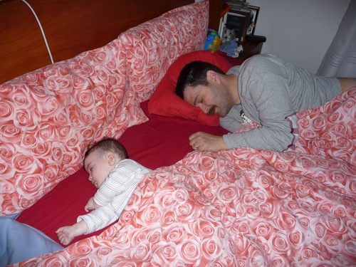 cinghiale05's profile picture. 