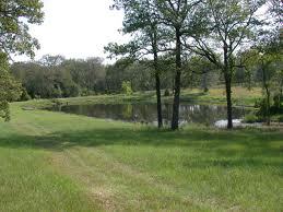 Man_no_rest's profile picture. Husband and father first and foremost, after that it's all gravy.