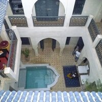 lucie wood (@luciewood) 's Twitter Profile