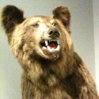 Yamauchi365's profile picture. 