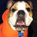 Mark Osbourne - @OsbourneMark - Twitter