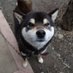masahito (@throttle_akaoni) Twitter profile photo masahito (@throttle_akaoni) Twitter profile photo