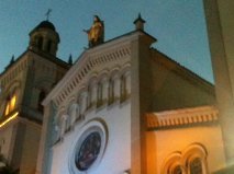 roselvis's profile picture. 