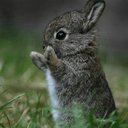 Ryan Jeremy - @RyanJeremy3 - Twitter