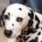 mpm1486's profile image