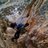 sergiotoscano4's profile image