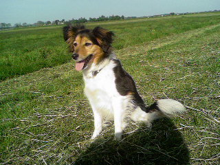 laumar96's profile picture. 