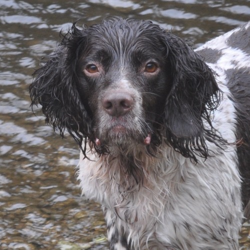 PML_Derby's profile picture. PM Law Design - structural design in engineered timber.