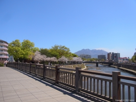 chintaikagoshim's profile picture. 鹿児島市にある桜島、甲突川、桜並木が見える賃貸マンションです。間取り2DKのお部屋にて入居受付中です！新屋敷電停徒歩3分、新屋敷バス停もすぐそばで各方面交通アクセス良好。桜島、甲突川、桜並木が見えて眺望良し、全室角部屋、東西南三方向窓で陽当り風通し良好、散歩・ジョギング・サイクリングに快適な環境です。