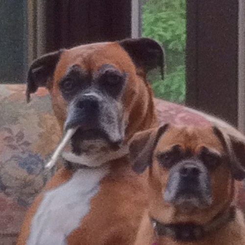 aktowman's profile picture. 