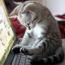 Debra Ramos - @DebraRamos1 - Twitter