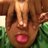 MaxBlasor's profile image