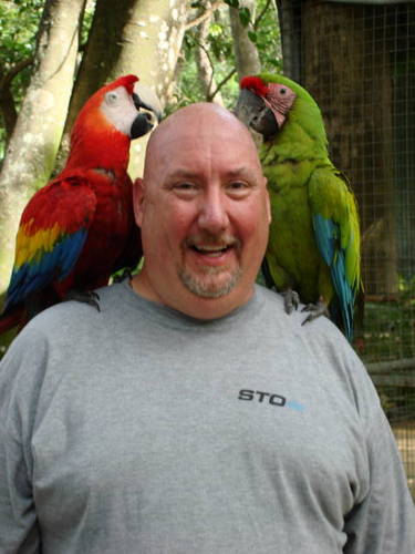 STO_Steve's profile picture. Seriously! They PAY me to watch sports on TV! I can't believe it, either!