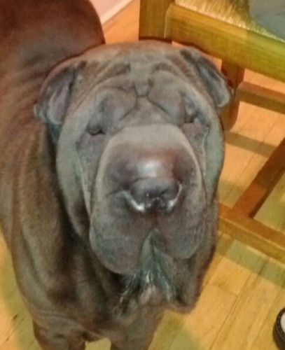 kaybetokan's profile picture. 