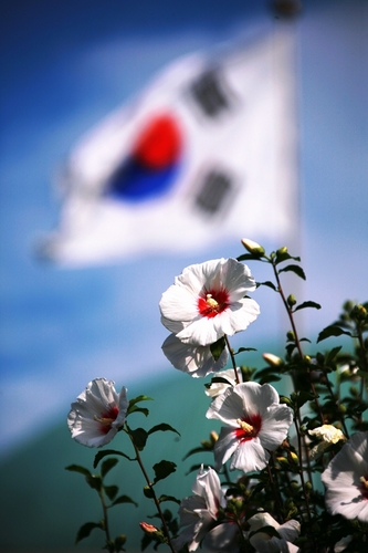 대한민국 40대. 나도 이제 강하고 자랑스러운 내 나라를 만들고 지켜갈 책임있는 나이기에 한마디씩 해야겠다. Korea 만세. 코리언 만세 ^^