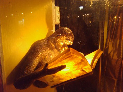 Sean_Mitchell51's profile picture. #resist #theresistance #bluewave #dem #BLM #resistance #FBR