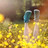 finamolina86's profile image
