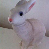 Nikki Shepherd - @itsmyrabbit Twitter Profile Photo