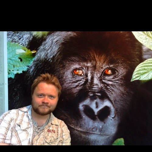 torsteinlofthus's profile picture. 