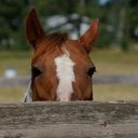 Doug Orr - @uofldoug1 - Twitter