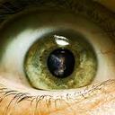 Efrain Bello P - @EfrainBelloP - Twitter