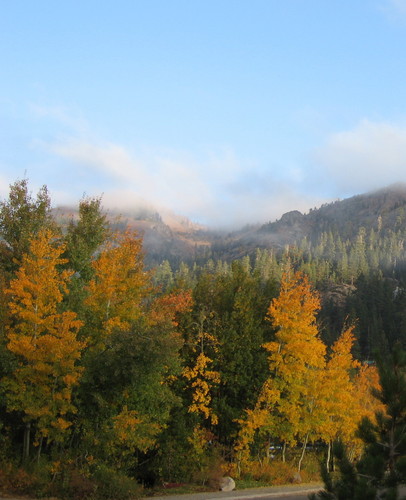 EllenAdkins1's profile picture. 