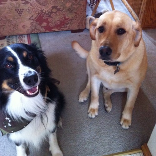 unameitdamnit's profile picture. 